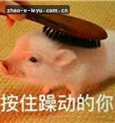 周凯